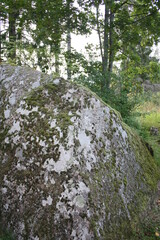 huge stone boulder in the forest