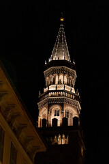La guglia del Torrazzo di Cremona illuminata nella notte