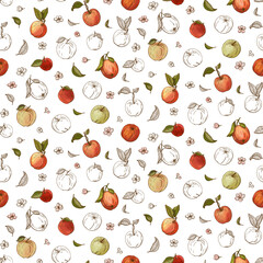 Seamless apple fruit, leaves, flowers with seed and leaves pattern hand drawn sketch vector illustration. Background for fabric print, textiles, wrapping paper, food packaging. 