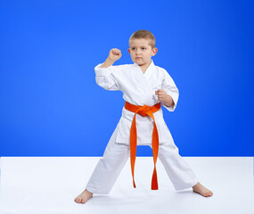In karategi the athlete is standing in the rack of karate
