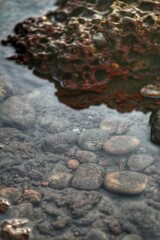 rocks in the water