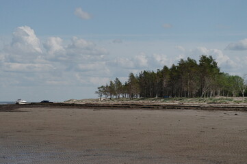 sandy beach of the White sea