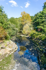 Washington Creek Landscape 2