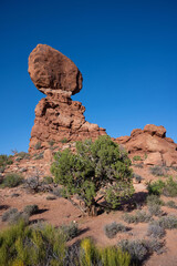 Fototapeta na wymiar Juniper Tree and Balanced Rock in Moab Utah
