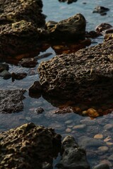 rocks in the water