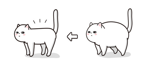 ダイエットに成功をした猫　ビフォアアフター