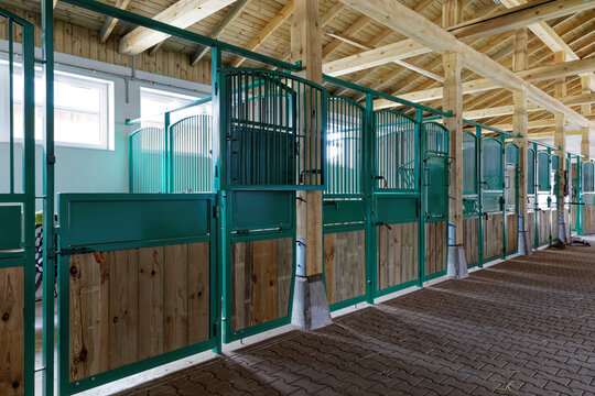 Empty horse stalls in modern stable building. Wooden and green metal, clean and neat stud interior.