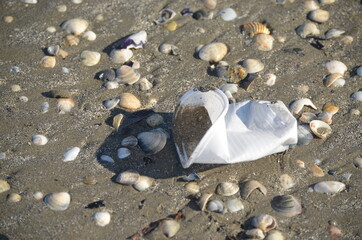 Fototapeta na wymiar white plastic cup abandoned on the beach among the shells