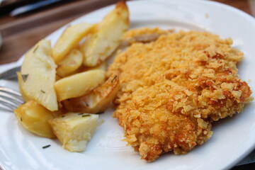 Chicken and fries