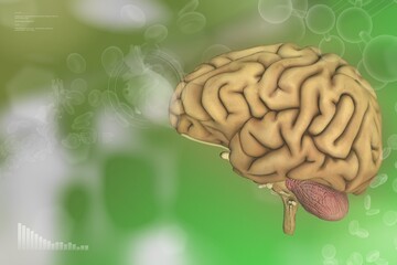 Human brain, alzheimer discovery concept - detailed hi-tech texture or background, medical 3D illustration