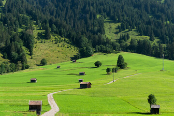 Beautiful scene of Wooden huts on green Meadows, natural background. 