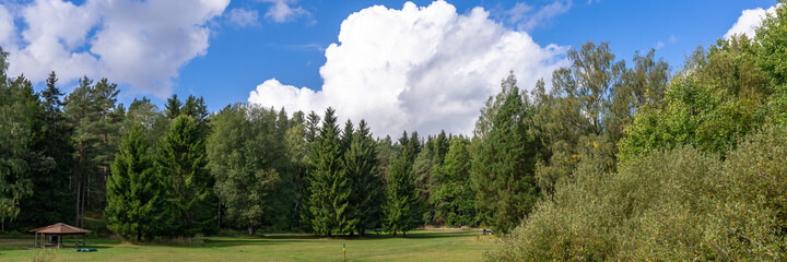 Fototapeta na wymiar Beautiful forest landscape in summer. Tall green trees at the edge of the clearing. Blue sky and white clouds. Wooden shed for outdoor picnic and grilling.