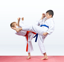Friends in karategi beat kick towards each other