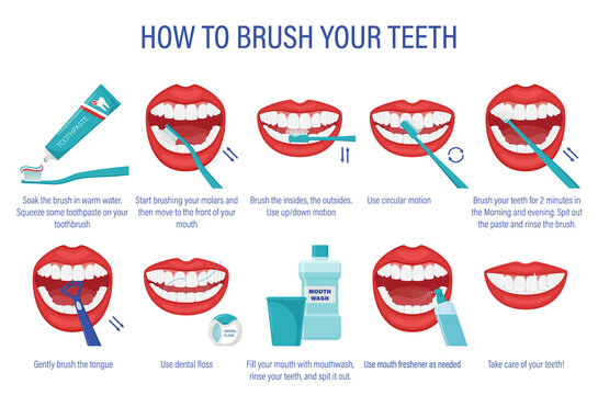 Cheme of how to brush your teeth.Step-by-step instructions. Oral hygiene.Healthy lifestyle and dental care.Order of actions with the description.Prevention of caries. Isolated flat vector illustration