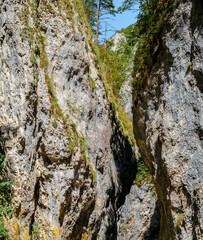 Fototapeta na wymiar Ramet gorges from Transylvania, Trascau mountains, Alba county, Romania