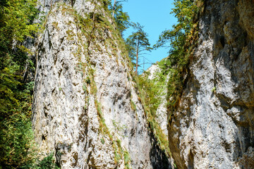 Ramet gorges from Transylvania, Trascau mountains, Alba county, Romania