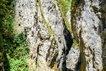 Ramet gorges from Transylvania, Trascau mountains, Alba county, Romania