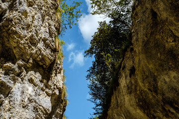 Ramet gorges from Transylvania, Trascau mountains, Alba county, Romania
