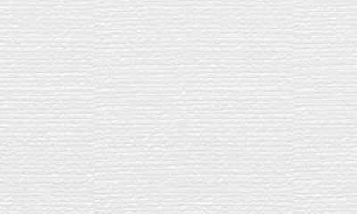 White paper texture background.