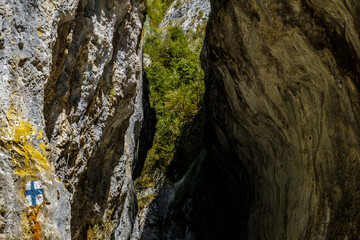 Ramet gorges from Transylvania, Trascau mountains, Alba county, Romania