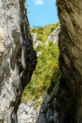 Ramet gorges from Transylvania, Trascau mountains, Alba county, Romania