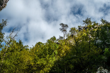 Obraz na płótnie Canvas Ramet gorges from Transylvania, Trascau mountains, Alba county, Romania