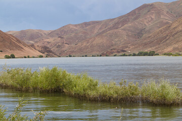 Snake River from the Shore