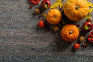 Harvest or Thanksgiving background with pumpkins and autumnal fruits on rustic wooden table. Flat lay, top view, copy space.