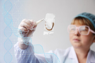 laboratory assistant examines a hair sample, curls in a package for research by genetic research in...