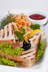 Pressed and toasted stuffed panini