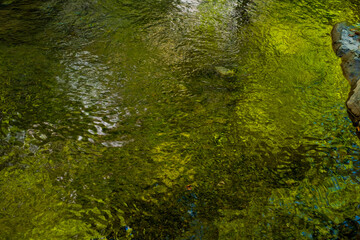 Ramet gorges from Transylvania, Trascau mountains, Alba county, Romania