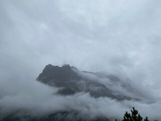 fog in the mountains