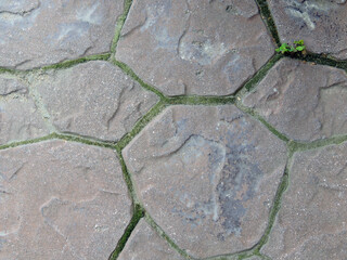 Vintage paving stones made of natural stone close-up. Sprouted plants in the joints of the paving stones of the sidewalk.