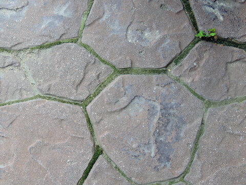 Vintage paving stones made of natural stone close-up. Sprouted plants in the joints of the paving stones of the sidewalk.