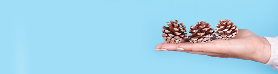 Hand with pine cone, home decoration, isolated on blue background, copy space.