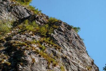 Ramet gorges from Transylvania, Trascau mountains, Alba county, Romania