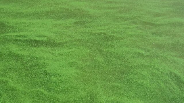 Green water in the river from algae. The water is blooming. Green waves. Ecology.