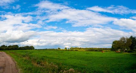 Fototapeta na wymiar Panorama shot from the fields in northern Germany on a beautiful cloudy day