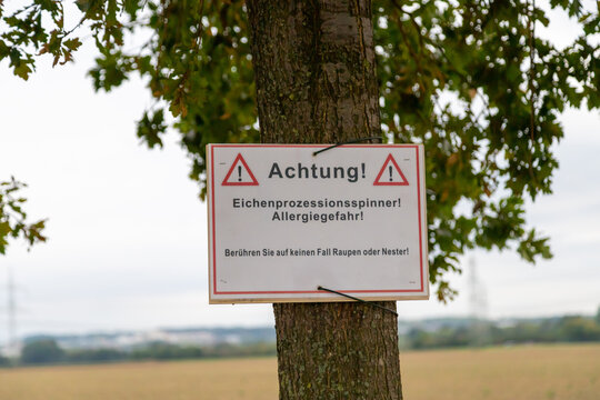 Warning of oak processionary moths, sign
