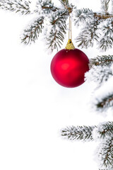 Fototapeta na wymiar Christmas decorations on the pine branch