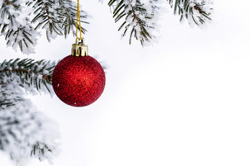 Fototapeta na wymiar Christmas decorations on the pine branch