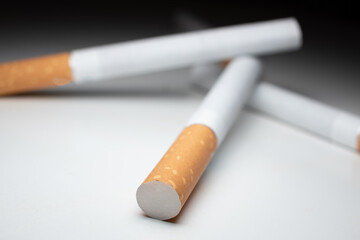 composition of cigarettes filled with tobacco