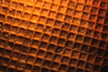 brittle waffle in a macro magnification
