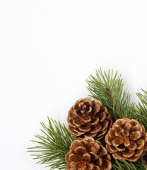 Christmas background. pine branches and three Golden cones