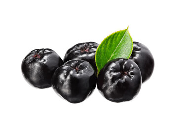 Chokeberry with green leaves isolated on white background. Clipping path and full depth of field