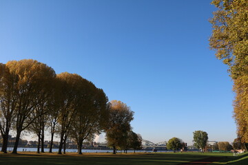Bank of the Rhine in Cologne Poll, Germany
