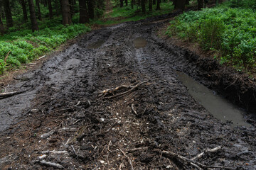 Mud track of-road forest trail dirt path muddy