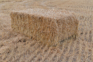 Hay stack cube square package harvest crop dry grain