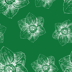 Seamless pattern of sketches delicate white flowers