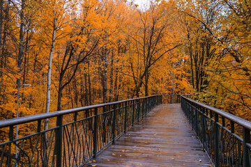 Fototapeta na wymiar The bridge in the Gorkinsko-Ometyevsky Forest Park covered with autumn foliage. It is the largest park in Kazan. Autumn landscape.